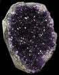 Dark Purple Amethyst Cut Base Cluster - Uruguay #36639-2